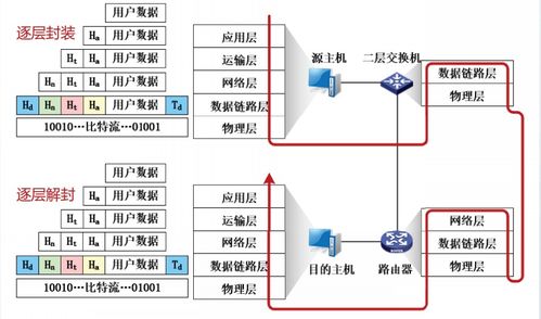 互聯(lián)網(wǎng)體系結(jié)構(gòu) 計(jì)算機(jī)網(wǎng)絡(luò)的骨干與演進(jìn)